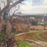 towards peasmarsh,winter