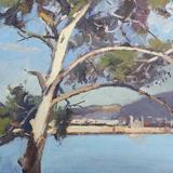 The Umbrella Pine Cap D Antibes