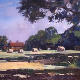 Hay bales wittersham