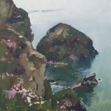 Cliffs and wild flowers, Bedruthan steps
