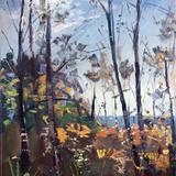 Light through the trees