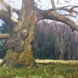 Old Chestnut ,Winter