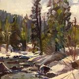 Snow and Sun in the Rockies