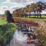 Stand of Autumn trees