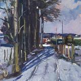 Tree shadows in the snow