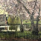 Cherry Blossom St James Park