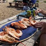 Artists lunch!..we know how to live !