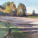 Tree Shadows Stowell Park