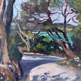 A glimpse of the sea on the road to Orkos , Paxos