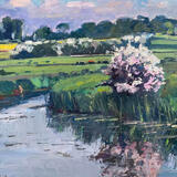 Hawthorn Blossom Harrys Field