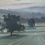 Hazy tree shapes, Skipton