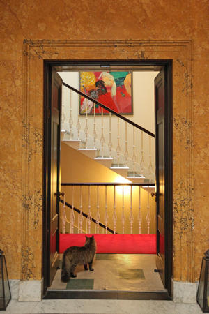 gallery 2013 with (part of) 'studio garden' 1993