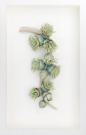 Flowering Eucalyptus Branch, red and blue