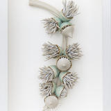 Flowering Eucalyptus Branch