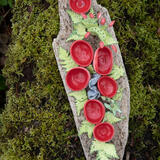 Scarlet Elf Cups