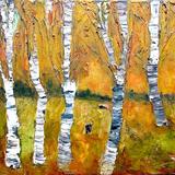 Birch Trees