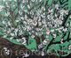 White Magnolia