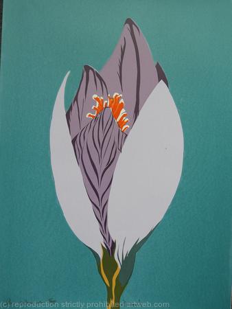 Light Blue Crocus