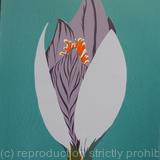 Light Blue Crocus