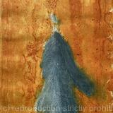 Blue feather with orange