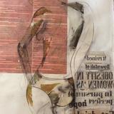 Beauty in the eyes of the beholder