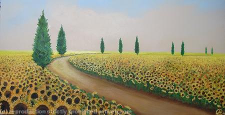 Sun Flower Fields