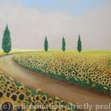 Sun Flower Fields