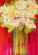 Floral Collection 