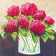 Hydrangeas
