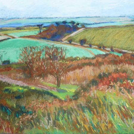 Dorset Landscape