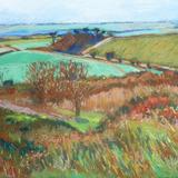Dorset Landscape
