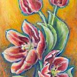 Red Tulips
