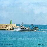 De vuelta con la pesca