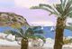 Tres Cycas 