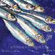 Muchas sardinas 