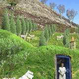 PORTAL 1~ ROSEANNA HOSPITAL