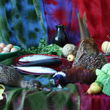 DUCK, PHEASANT & MACKEREL