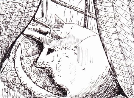 'A Place in the Sun'