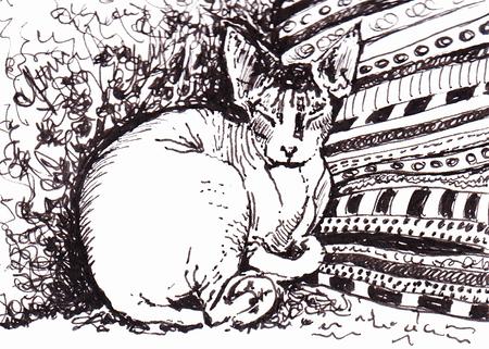 'Wrinkles and Folds'