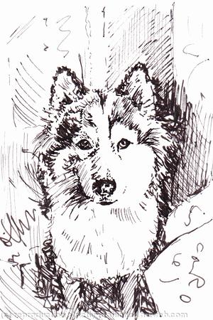 'They Promised Chicken'