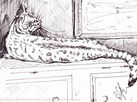 'Pretty as a Picture'