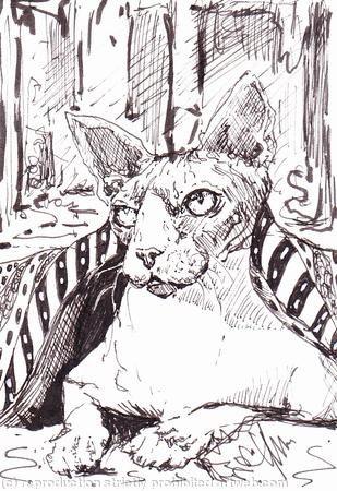 'Keeping My Place Warm'