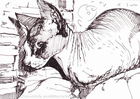 'Curled Up With a Good Book'