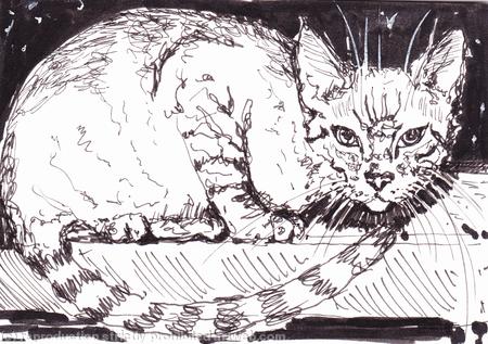 'A Night on the Tiles'