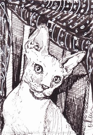 'Sweetness and Light'