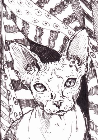 'Anything She Wants'