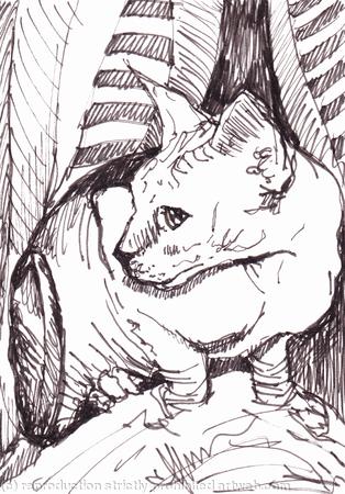 'The Wrinkly Rascal'