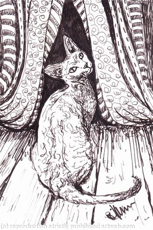 'Treading The Boards'