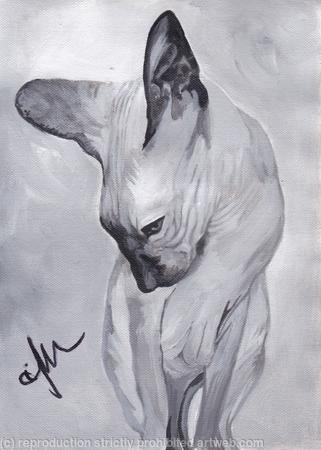 'The Purring Prince'