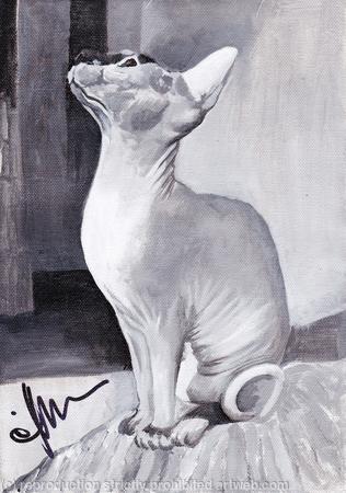 'Chicken For Dinner'